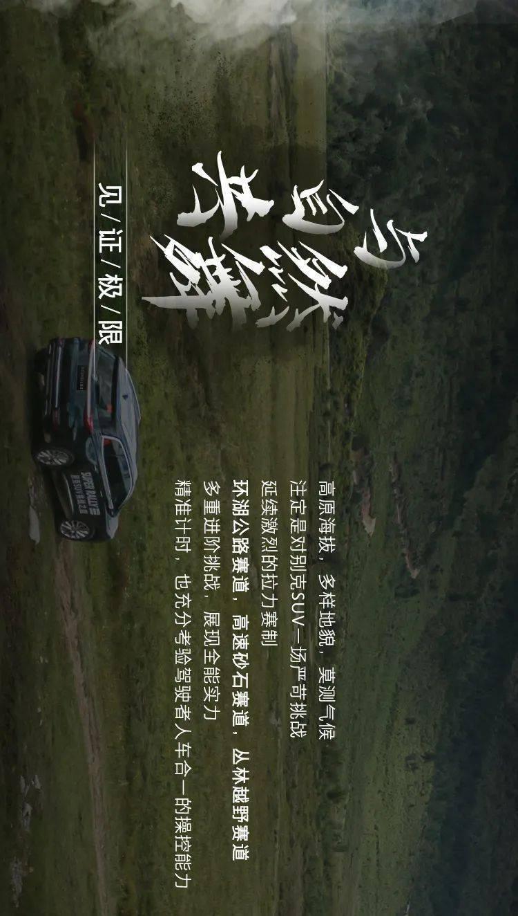 创作猫