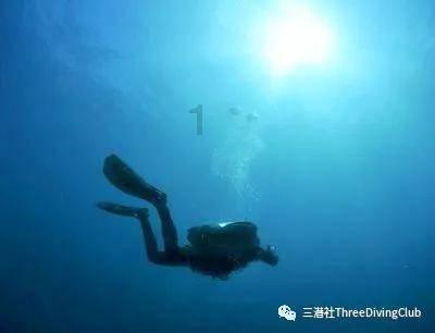 了解搬家的时候找搬家公司还是自己开车多跑几趟划算?,畅聊共同兴趣爱好的社区平台